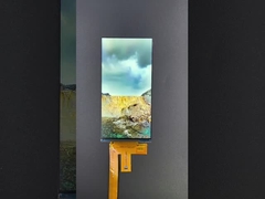 6 cali 1080*2160 rozdzielczość moduł lcd tft MIPI Interface Driving IC HX8399C