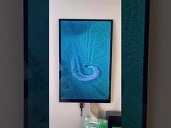 10.1 Calowy wyświetlacz typu TFT 1200*1920 Rozdzielczość Interfejs MIPI 1000cd/M2