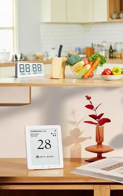2.66 inch E-paper Display with 152x296 Resolution and 180° View Angle